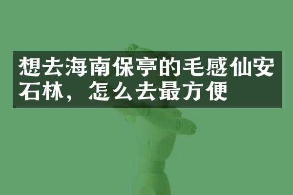 想去海南保亭的毛感仙安石林，怎么去最方便