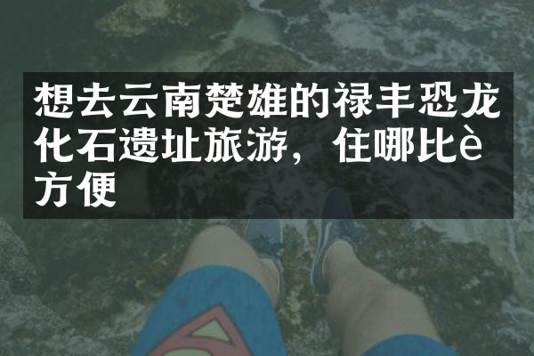 想去云南楚雄的禄丰恐龙化石遗址旅游，住哪比较方便