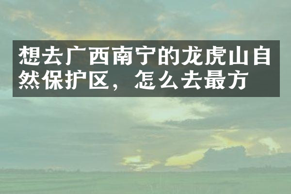 想去广西南宁的龙虎山自然保护区，怎么去最方便