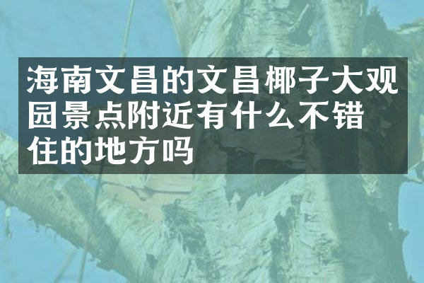海南文昌的文昌椰子大观园景点附近有什么不错的住的地方吗