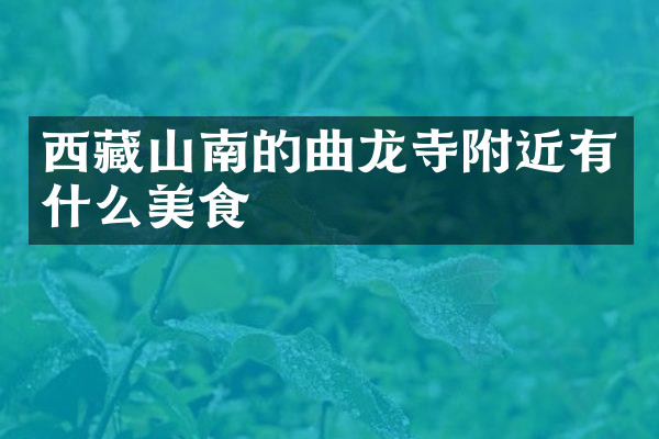 西藏山南的曲龙寺附近有什么美食