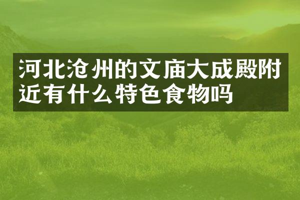 河北沧州的文庙大成殿附近有什么特色食物吗