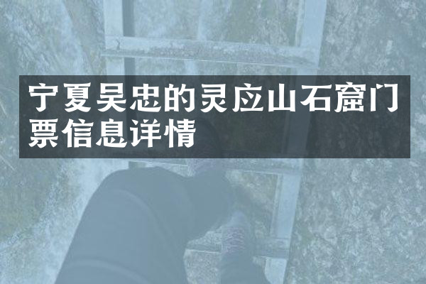 宁夏吴忠的灵应山石窟门票信息详情