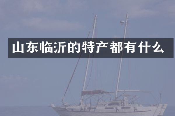 山东临沂的特产都有什么