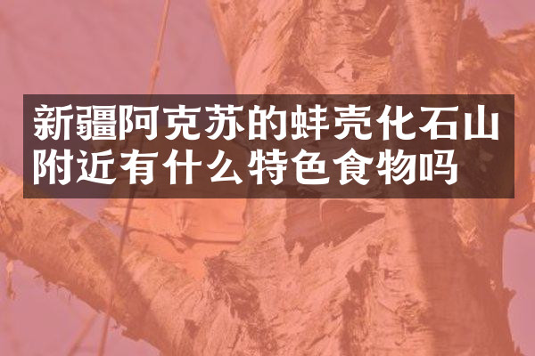 新疆阿克苏的蚌壳化石山附近有什么特色食物吗