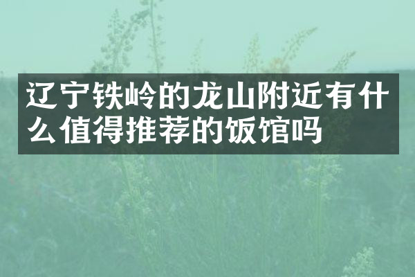 辽宁铁岭的龙山附近有什么值得推荐的饭馆吗