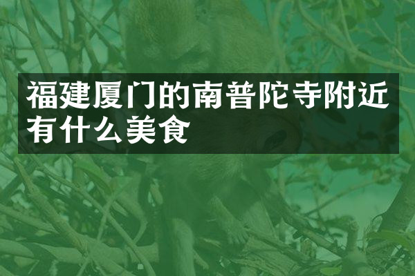 福建厦门的南普陀寺附近有什么美食