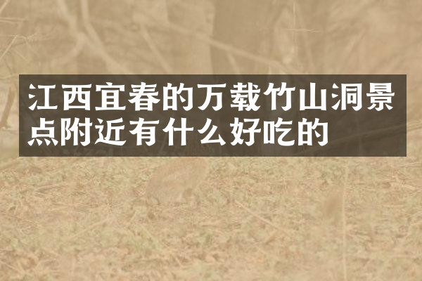 江西宜春的万载竹山洞景点附近有什么好吃的