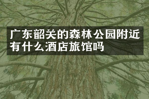 广东韶关的森林公园附近有什么酒店旅馆吗