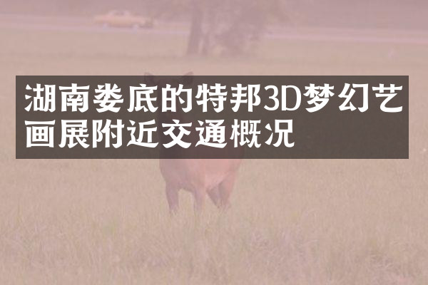 湖南娄底的特邦3D梦幻艺术画展附近交通概况