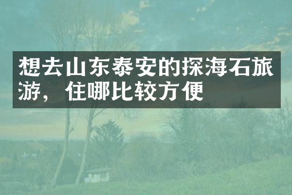 想去山东泰安的探海石旅游，住哪比较方便