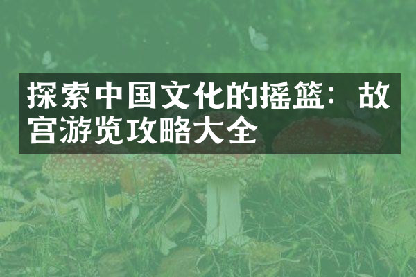 探索中国文化的摇篮：故宫游览攻略大全