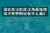湖北武汉的武汉海昌极地海洋世界附近有什么美食
