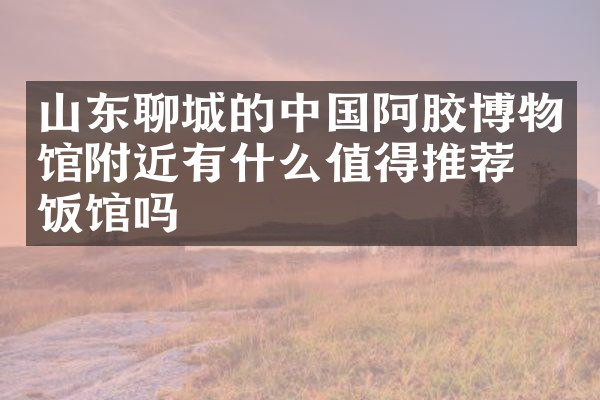 山东聊城的中国阿胶博物馆附近有什么值得推荐的饭馆吗