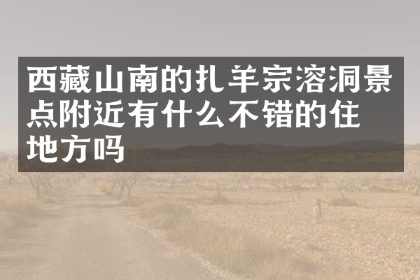 西藏山南的扎羊宗溶洞景点附近有什么不错的住的地方吗