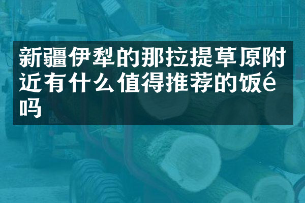 新疆伊犁的那拉提草原附近有什么值得推荐的饭馆吗