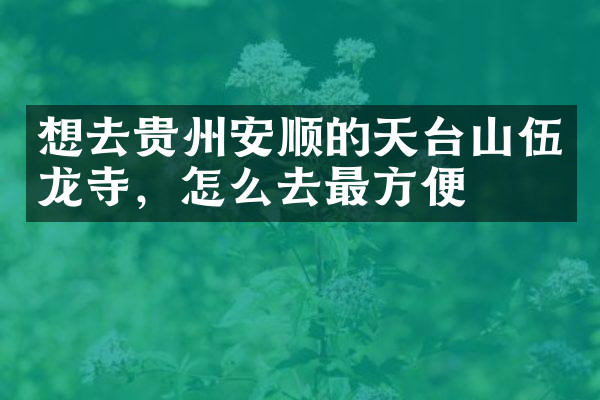 想去贵州安顺的天台山伍龙寺，怎么去最方便