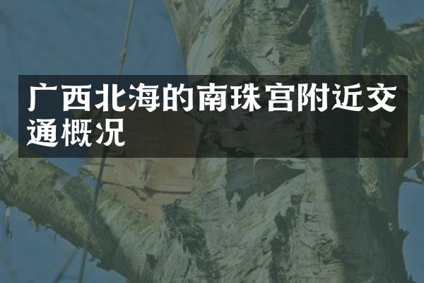 广西北海的南珠宫附近交通概况