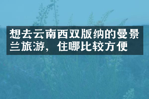 想去云南西双版纳的曼景兰旅游，住哪比较方便