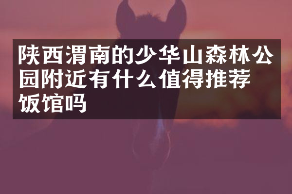 陕西渭南的少华山森林公园附近有什么值得推荐的饭馆吗