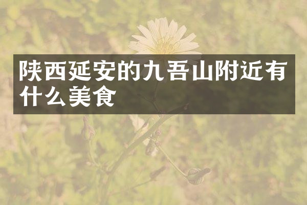 陕西延安的九吾山附近有什么美食