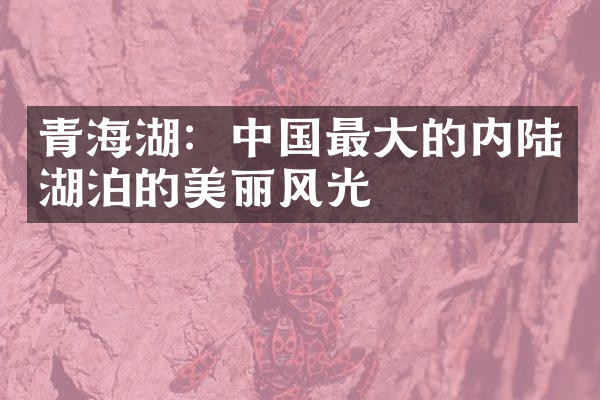 青海湖：中国最大的内陆湖泊的美丽风光