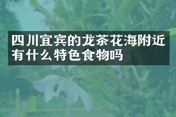 四川宜宾的龙茶花海附近有什么特色食物吗