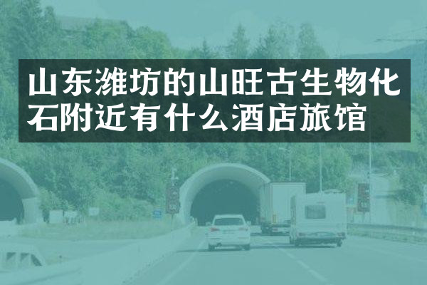 山东潍坊的山旺古生物化石附近有什么酒店旅馆吗