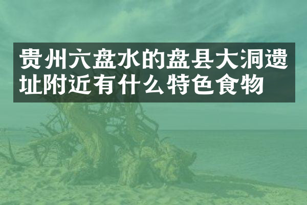 贵州六盘水的盘县大洞遗址附近有什么特色食物吗