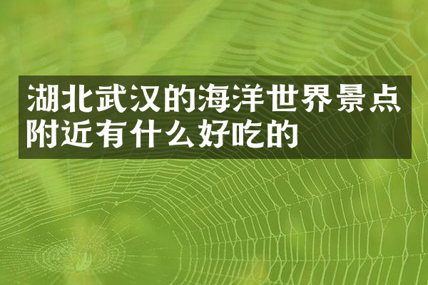 湖北武汉的海洋世界景点附近有什么好吃的