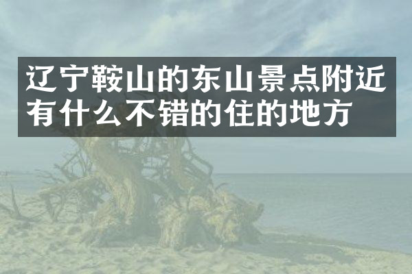 辽宁鞍山的东山景点附近有什么不错的住的地方吗