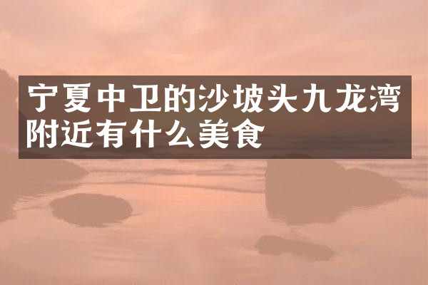 宁夏中卫的沙坡头九龙湾附近有什么美食