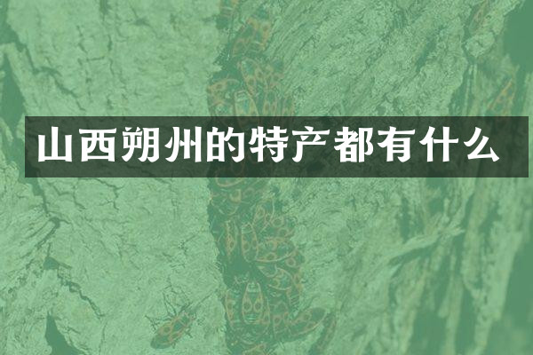 山西朔州的特产都有什么