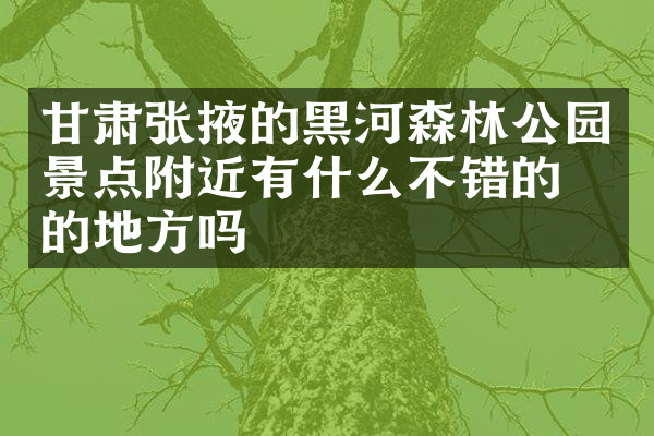 甘肃张掖的黑河森林公园景点附近有什么不错的住的地方吗