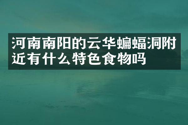 河南南阳的云华蝙蝠洞附近有什么特色食物吗
