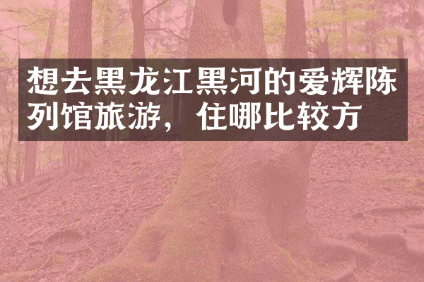 想去黑龙江黑河的爱辉陈列馆旅游，住哪比较方便