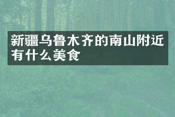 新疆乌鲁木齐的南山附近有什么美食