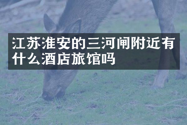 江苏淮安的三河闸附近有什么酒店旅馆吗
