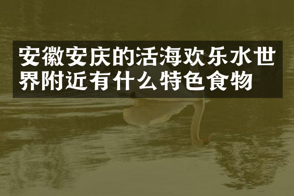 安徽安庆的活海欢乐水世界附近有什么特色食物吗
