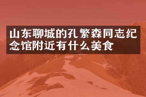 山东聊城的孔繁森同志纪念馆附近有什么美食