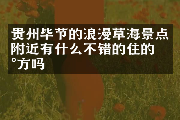 贵州毕节的浪漫草海景点附近有什么不错的住的地方吗