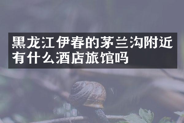 黑龙江伊春的茅兰沟附近有什么酒店旅馆吗