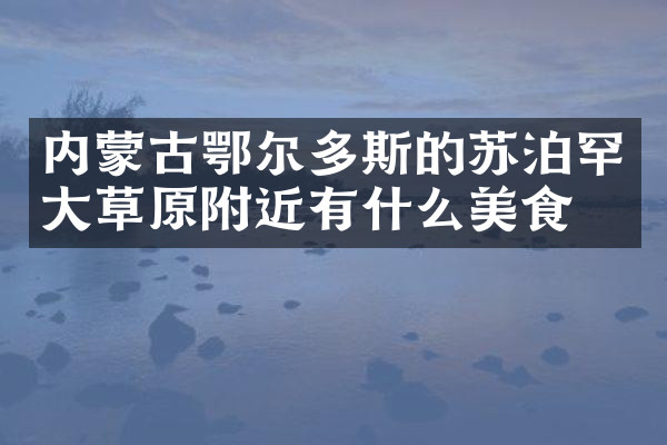 内蒙古鄂尔多斯的苏泊罕大草原附近有什么美食