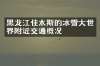 黑龙江佳木斯的冰雪大世界附近交通概况