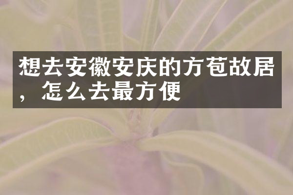 想去安徽安庆的方苞故居，怎么去最方便