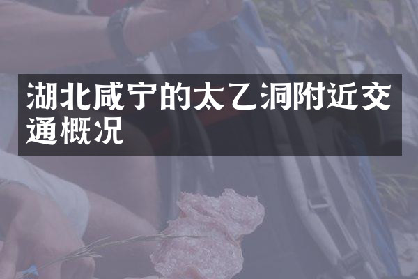湖北咸宁的太乙洞附近交通概况