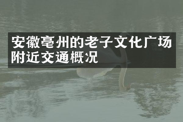 安徽亳州的老子文化广场附近交通概况
