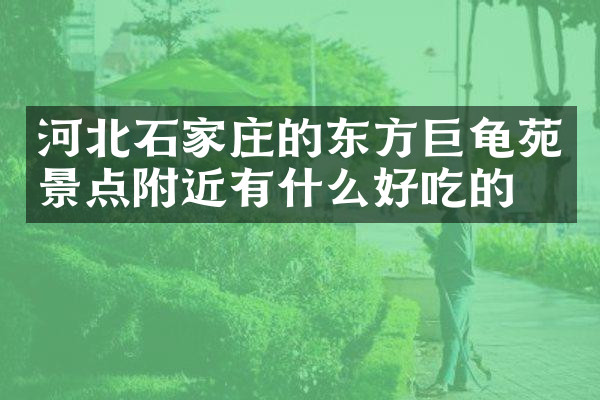 河北石家庄的东方巨龟苑景点附近有什么好吃的
