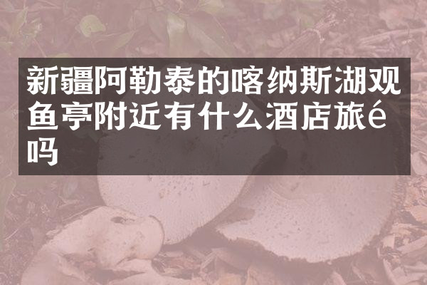 新疆阿勒泰的喀纳斯湖观鱼亭附近有什么酒店旅馆吗