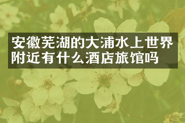 安徽芜湖的大浦水上世界附近有什么酒店旅馆吗